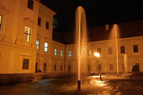 DSC_9049.JPG
